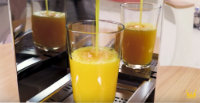 MXJ25 orange juicer