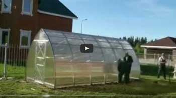 Strelka 3 greenhouse