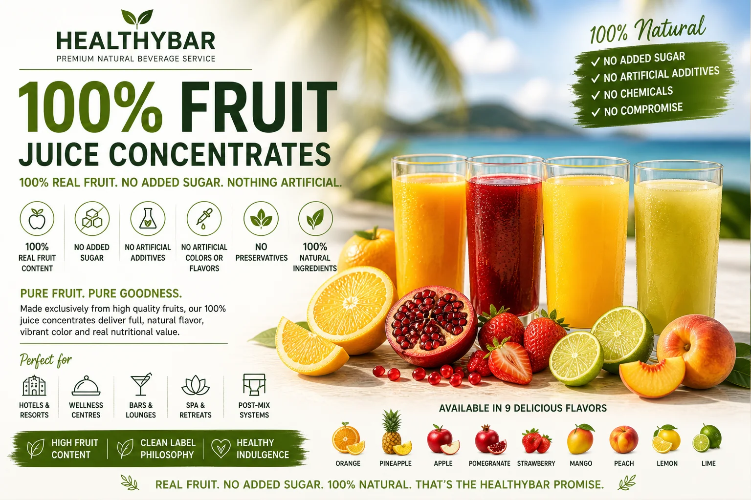 HealthyBar 100% voćni koncentrati bez dodanog šećera za HORECA wellness, premium barove i profesionalne programe napitaka
